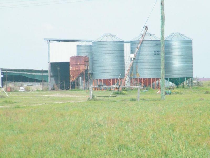 706 Healys Crossing Road, Brigalow QLD 4412