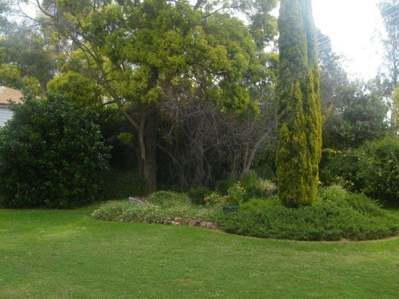 706 Healys Crossing Road, Brigalow QLD 4412