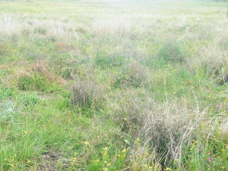 706 Healys Crossing Road, Brigalow QLD 4412