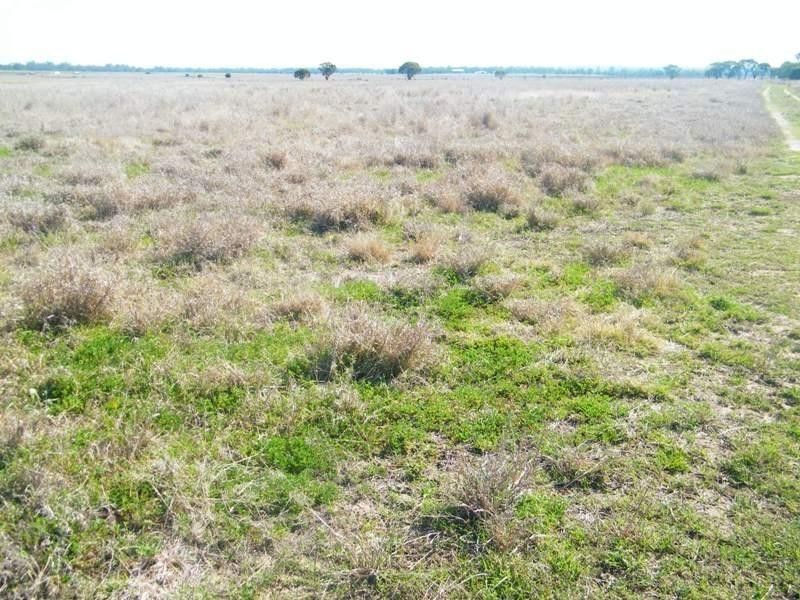 Lot 100 Chinchilla – Tara Road, Chinchilla QLD 4413