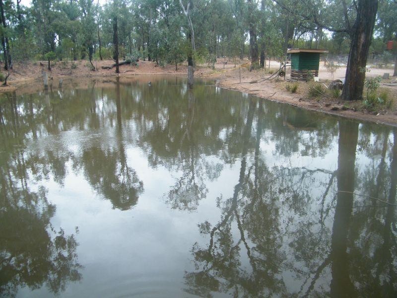 254 Windfield Road, Tara QLD 4421