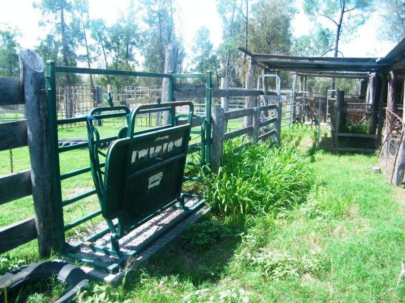 541 Auburn Road, Chinchilla QLD 4413