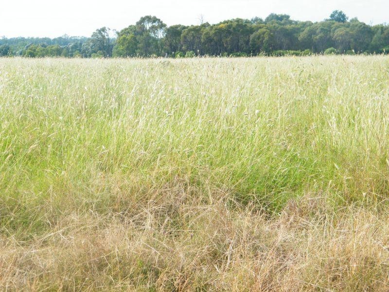 Lot 141 Riders Road, Brigalow QLD 4412