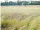 Lot 141 Riders Road, Brigalow QLD 4412
