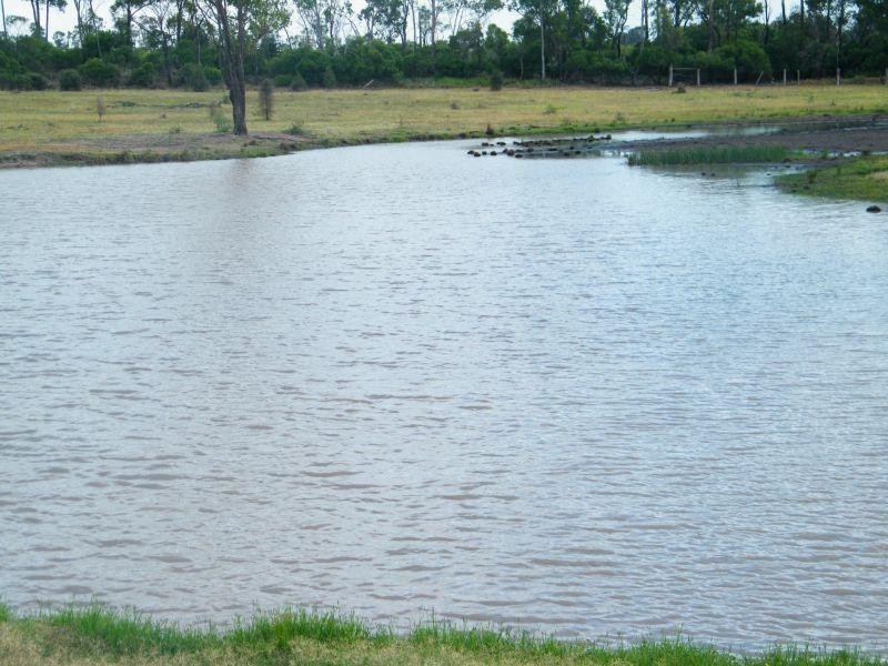 Lot 141 Riders Road, Brigalow QLD 4412