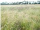 Lot 141 Riders Road, Brigalow QLD 4412