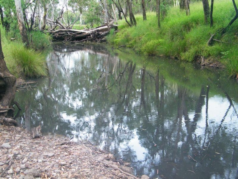 81 Dalwogan-Williams Road, Miles QLD 4415