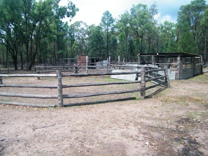 81 Dalwogan-Williams Road, Miles QLD 4415