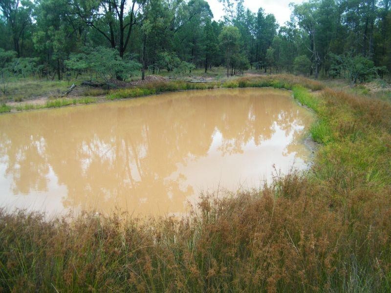 81 Dalwogan-Williams Road, Miles QLD 4415