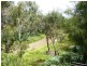 682 B Riders Road, Boonarga QLD 4413