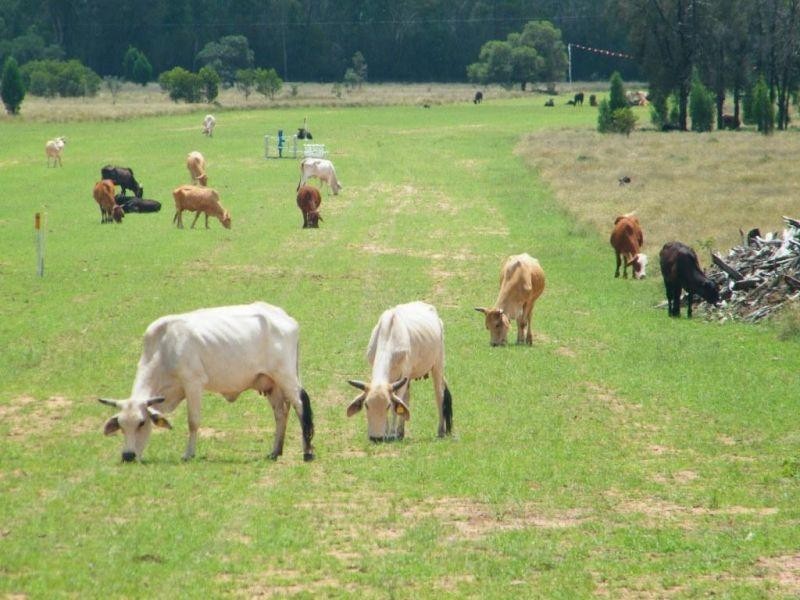 Lot 58 Kogan Condamine Road, Chinchilla QLD 4413
