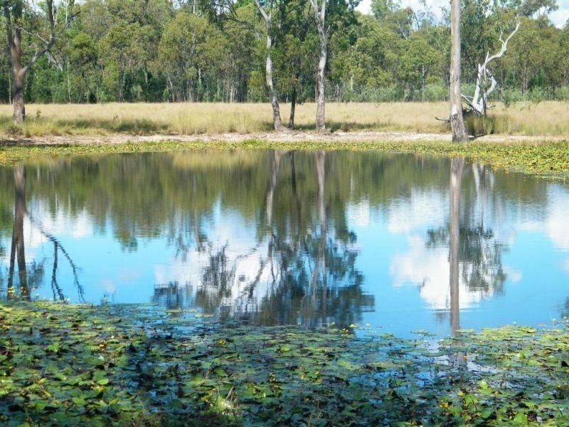 270 Surcingle Road, Burncluith QLD 4413