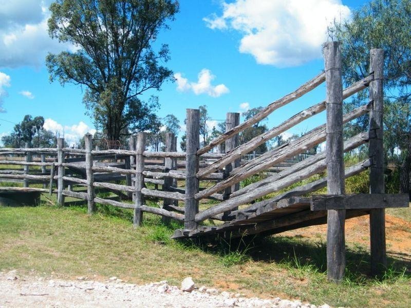 270 Surcingle Road, Burncluith QLD 4413