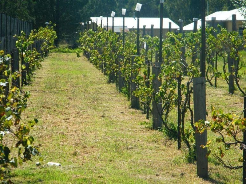 3229 Tara-Kogan Road, Kogan QLD 4406