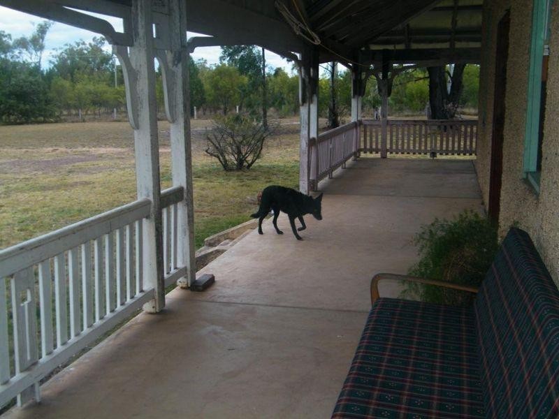 3229 Tara-Kogan Road, Kogan QLD 4406