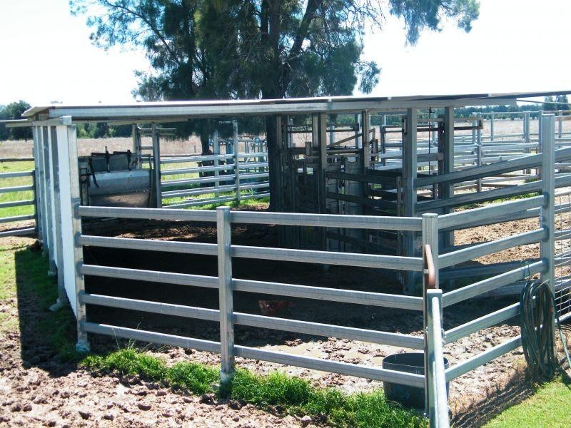 765 Braithwaites Road, Chinchilla QLD 4413