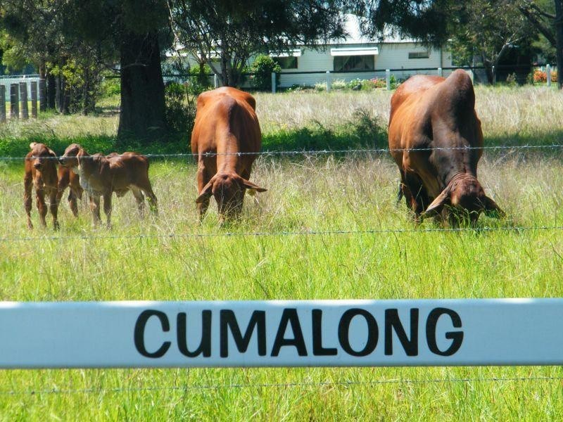 765 Braithwaites Road, Chinchilla QLD 4413