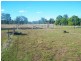 45 Crystal Creek Road, Kogan QLD 4406
