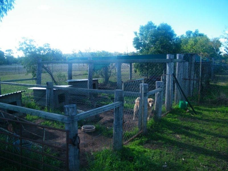 45 Crystal Creek Road, Kogan QLD 4406