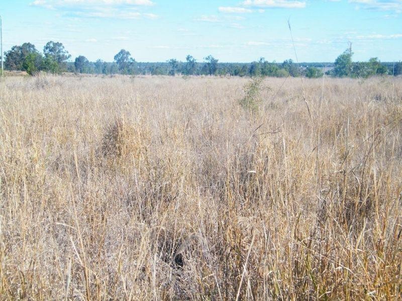 155 Rifle Range Road, Jandowae QLD 4410