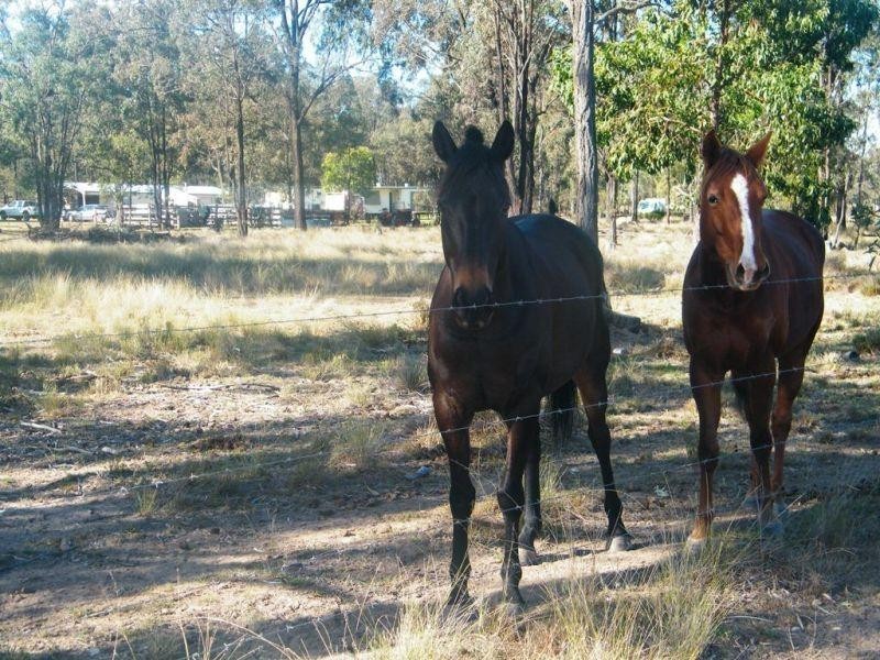 155 Rifle Range Road, Jandowae QLD 4410