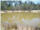 117 Phipps Road, Chinchilla QLD 4413