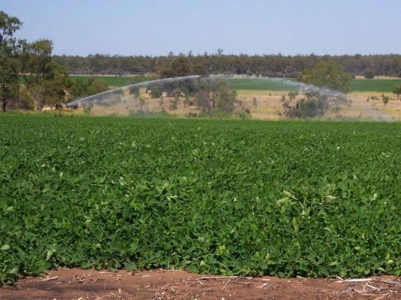 67 Jahnkes Road, Chinchilla QLD 4413