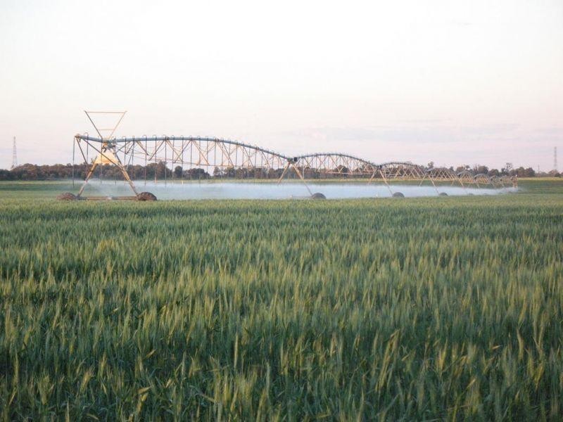 67 Jahnkes Road, Chinchilla QLD 4413