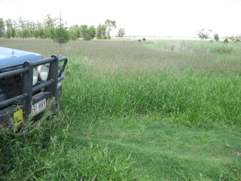 67 Jahnkes Road, Chinchilla QLD 4413