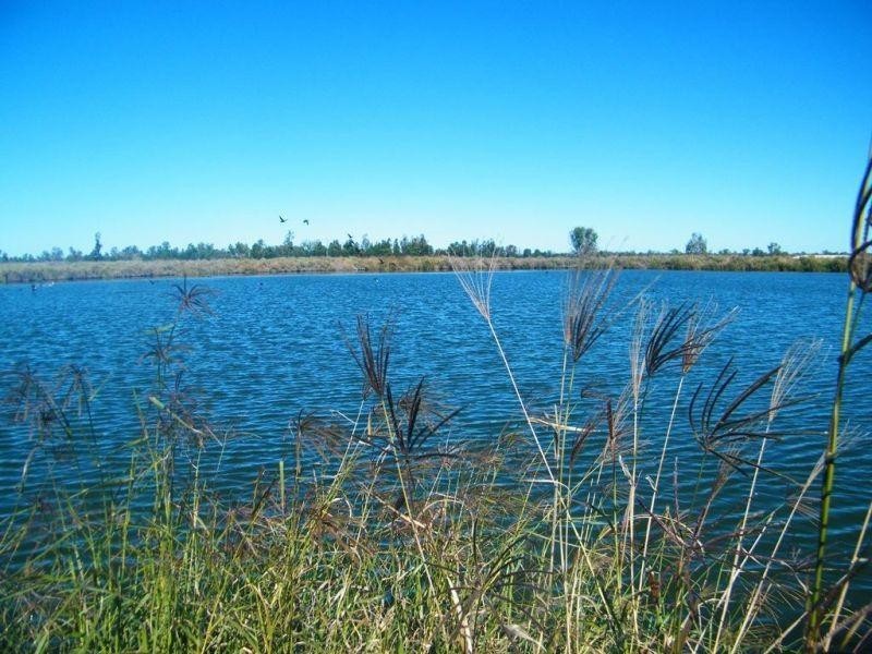 67 Jahnkes Road, Chinchilla QLD 4413