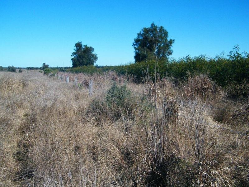 67 Jahnkes Road, Chinchilla QLD 4413