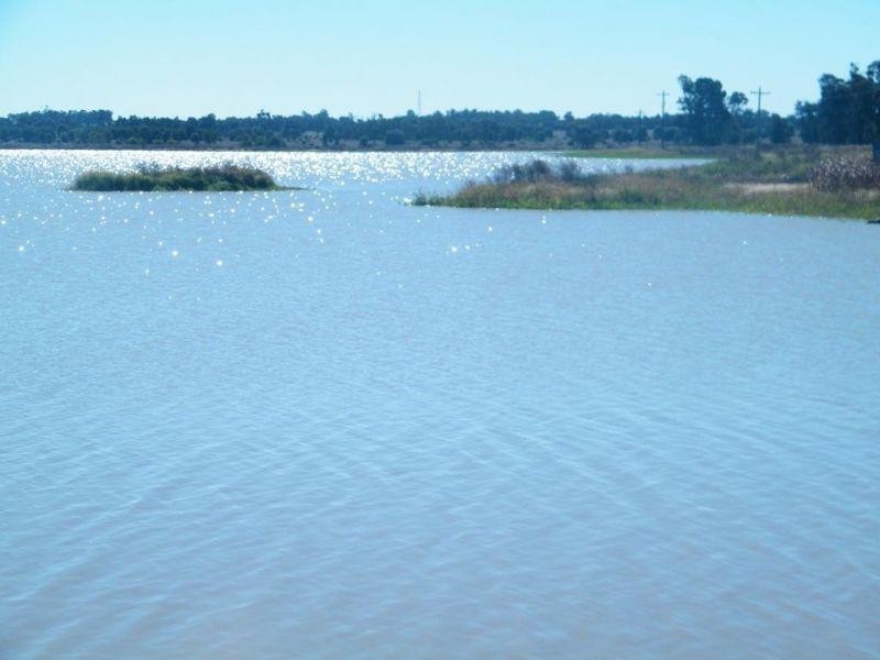 67 Jahnkes Road, Chinchilla QLD 4413