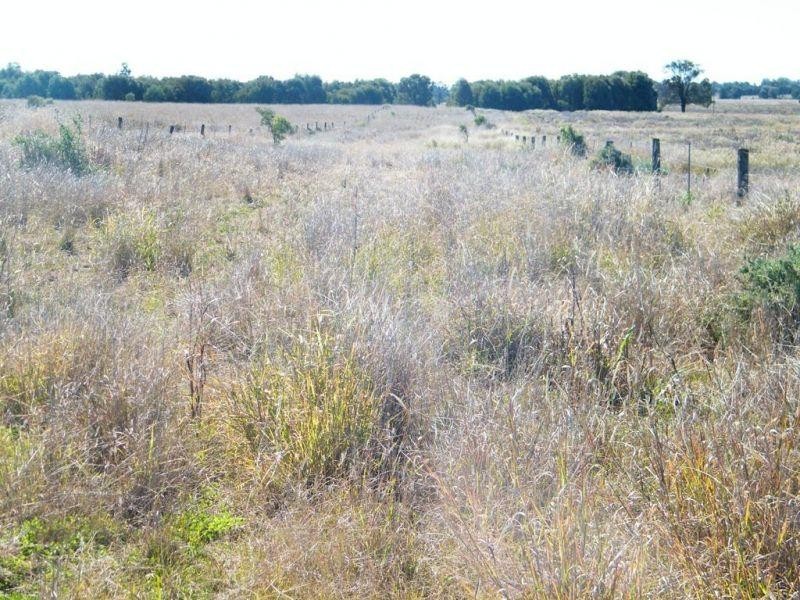 67 Jahnkes Road, Chinchilla QLD 4413