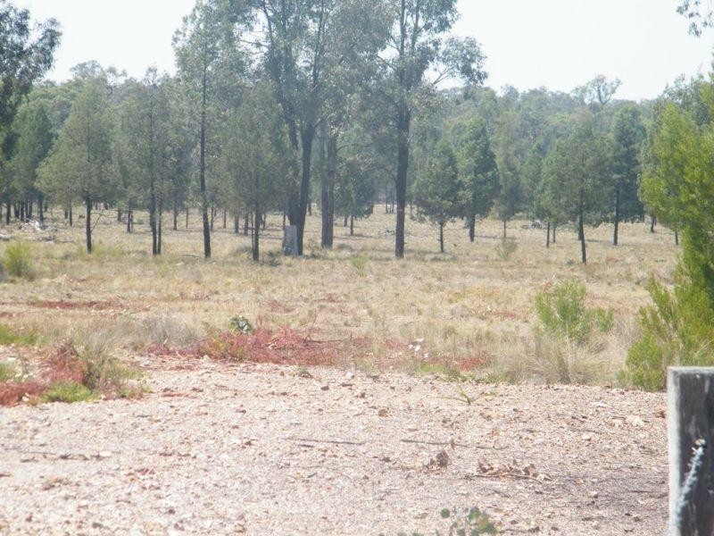 877 Males Drive, Chinchilla QLD 4413