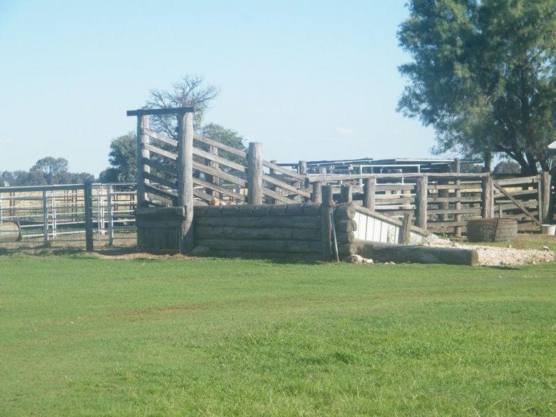 175  Len Middleton Road, Canaga QLD 4413