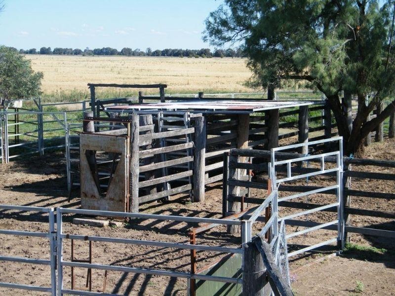 175  Len Middleton Road, Canaga QLD 4413