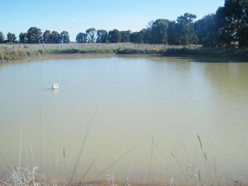 175  Len Middleton Road, Canaga QLD 4413