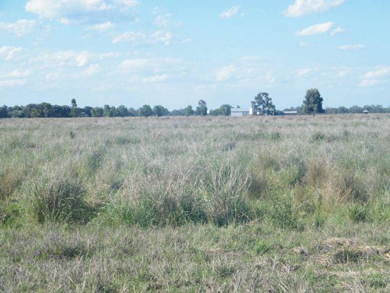 175  Len Middleton Road, Canaga QLD 4413