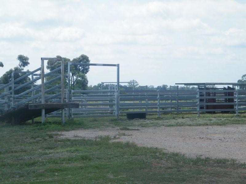 421 Chances Plains Road, Chinchilla QLD 4413