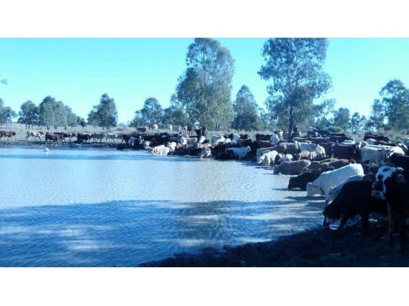 421 Chances Plains Road, Chinchilla QLD 4413