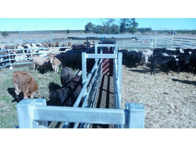 421 Chances Plains Road, Chinchilla QLD 4413