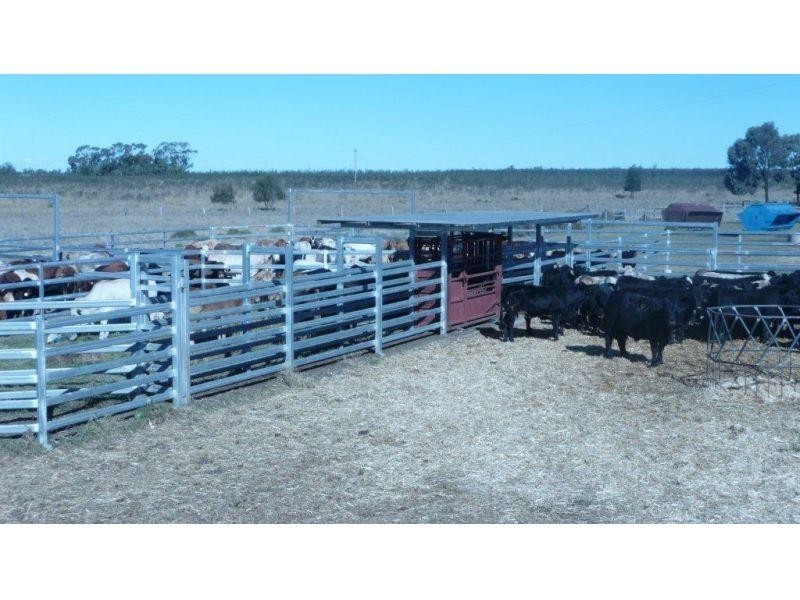 421 Chances Plains Road, Chinchilla QLD 4413