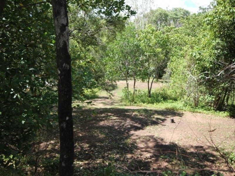 Alligator Creek QLD 4816