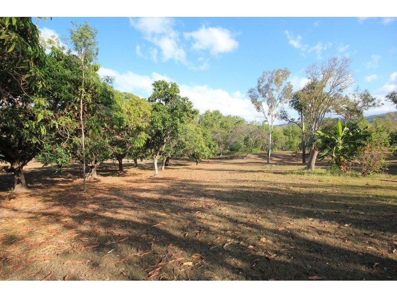 400 Forestry Road, Bluewater QLD 4818