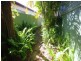 Hermit Park QLD 4812