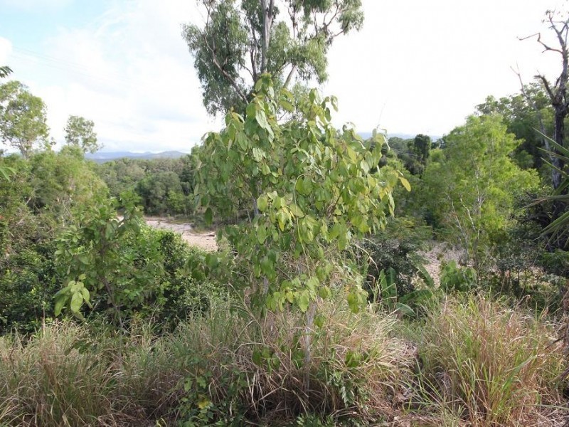 37B Daly Road, Mutarnee QLD 4816