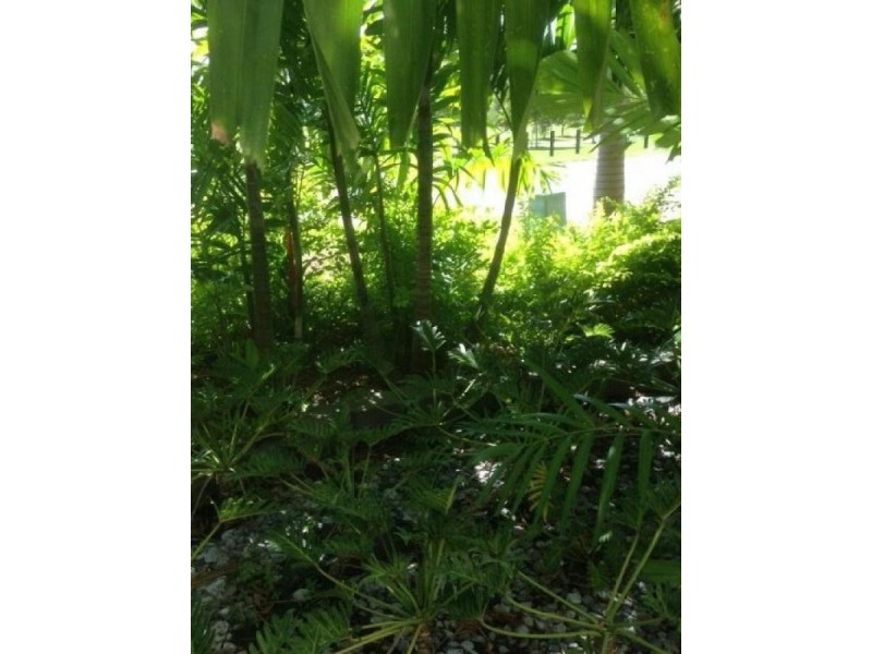 5 Osterlund Place, Burdell QLD 4818