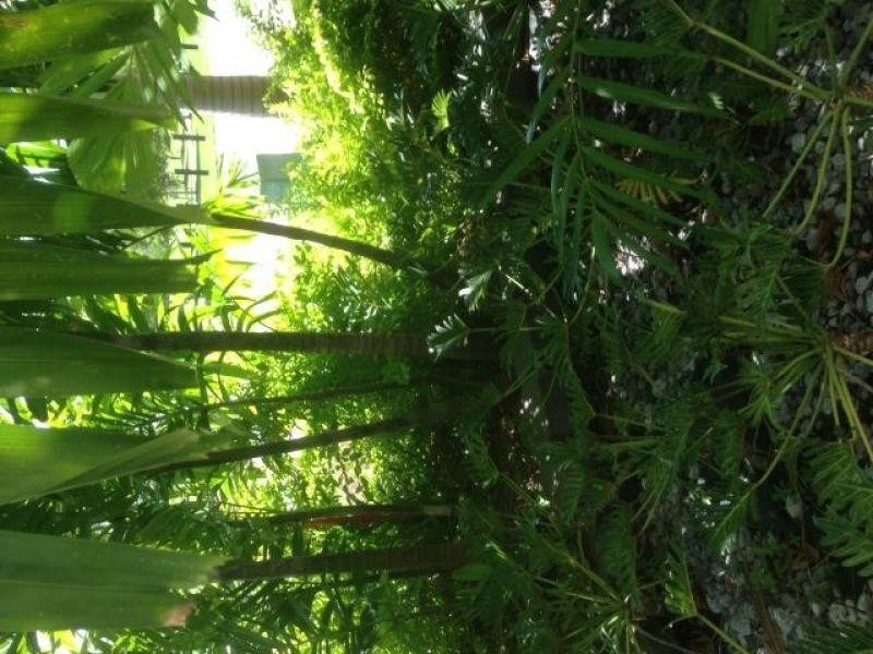 5 Osterlund Place, Burdell QLD 4818