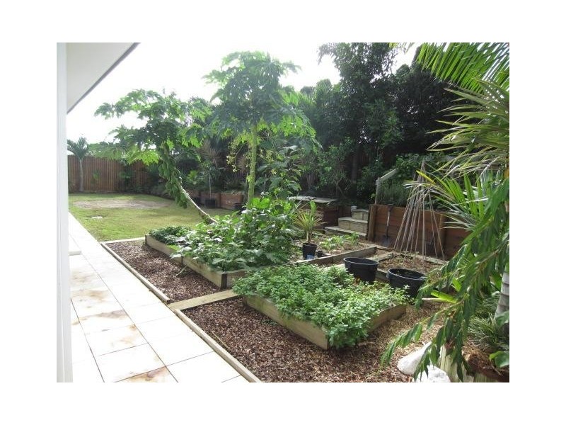 2 Cowrie Court, Bushland Beach QLD 4818