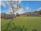 Julago QLD 4816